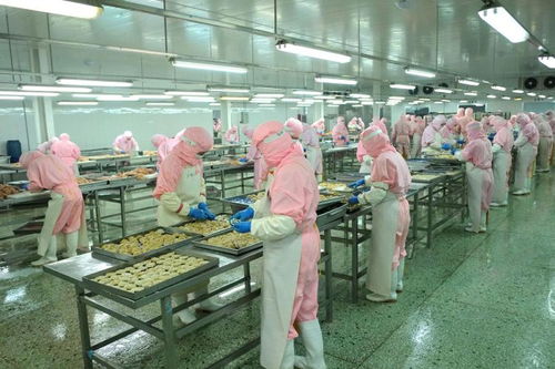 潍城区 稳供应 保供给 预制菜产业显威力